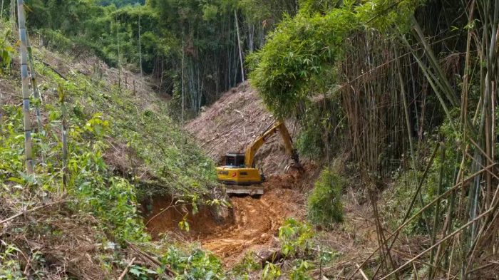 林间“藏龙”，竹海“卧虎”——三亿体育林业挖机广西侠客行